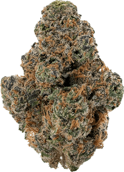 Aprct Stomper image 1